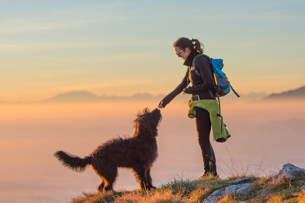dog and owner on mountain hiking