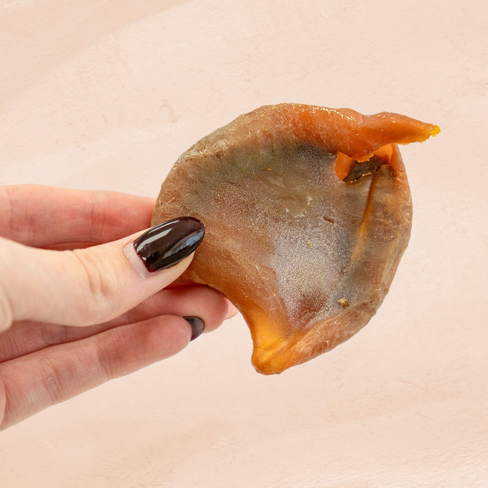 Hand holding a Baked Squid Bite against a textured background