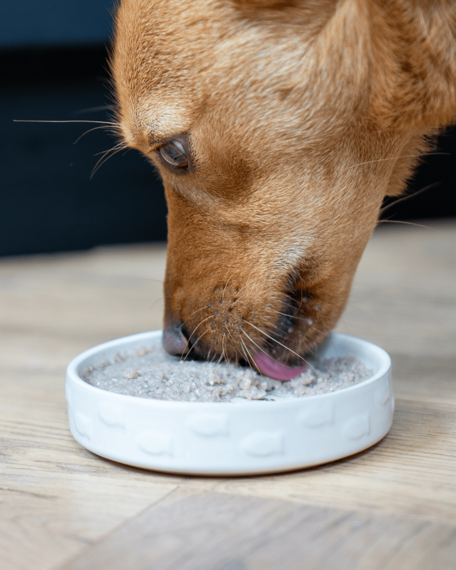 Cod Pate - Skipper's Pet Products