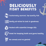 Dog Advent Calendar - Skipper's Pet Products