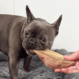 Dried Plaice Fillets - Skipper's Pet Products