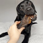 Dried Plaice Fillets - Skipper's Pet Products