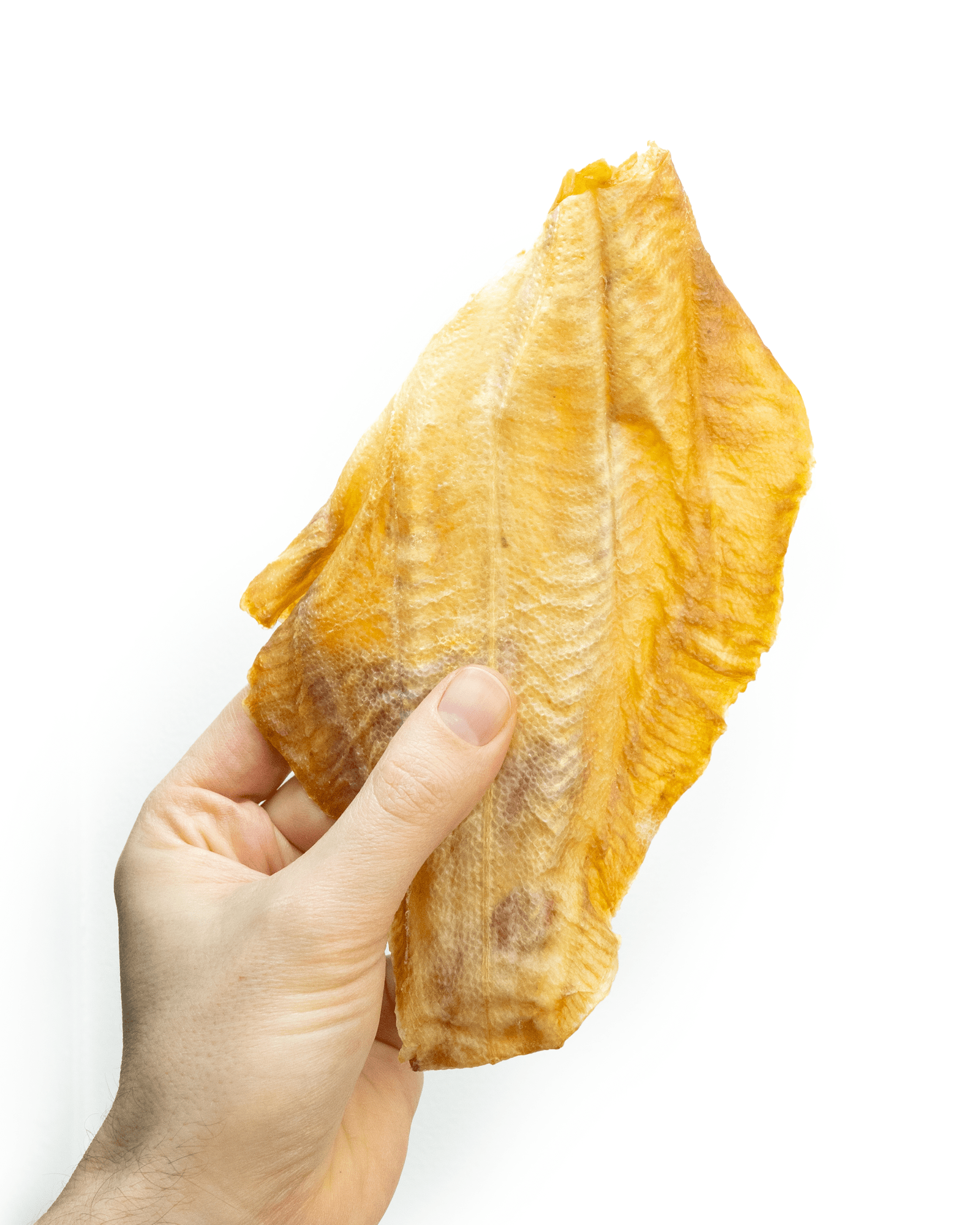 Dried Plaice Fillets - Skipper's Pet Products