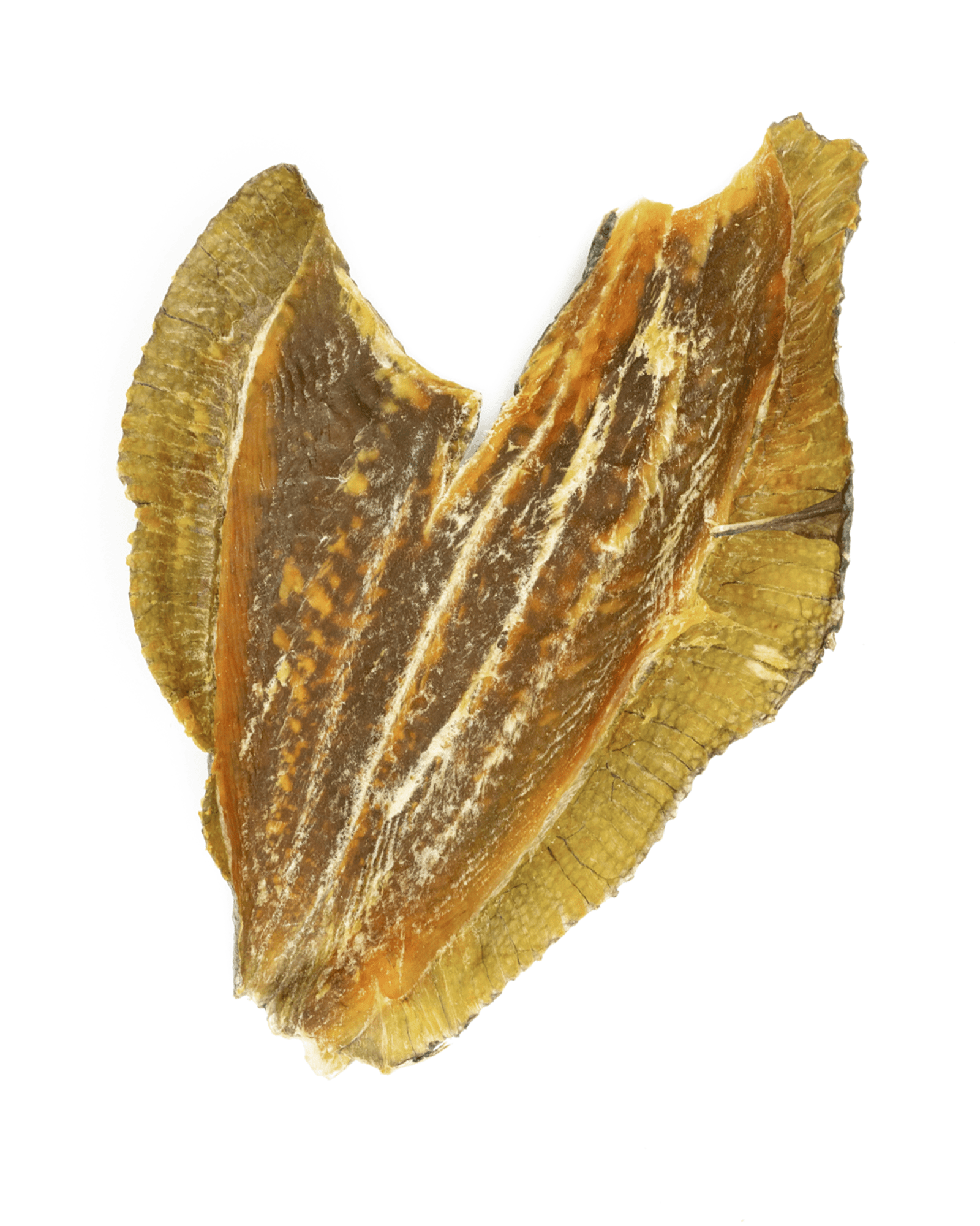 Dried Plaice Fillets - Skipper's Pet Products