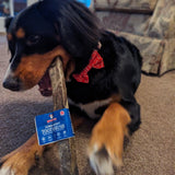 Jumbo Jerky Toothbrush - 100% Cod - Skipper's Pet Products