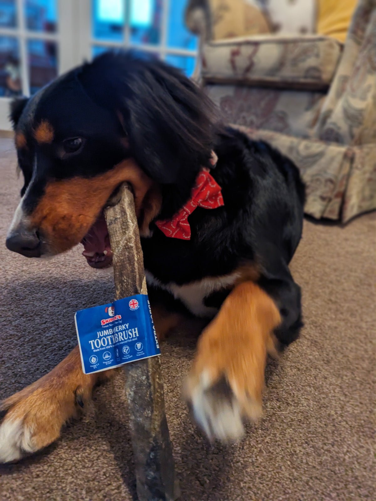 Jumbo Jerky Toothbrush - 100% Cod - Skipper's Pet Products