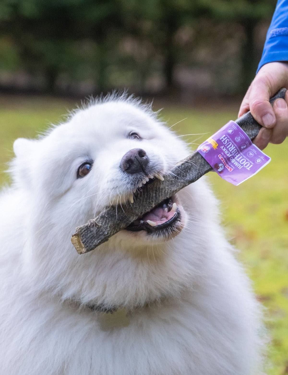 Jumbo Jerky Toothbrush - With Wolf Fish - Skipper's Pet Products