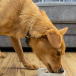 Salmon Pate - Skipper's Pet Products