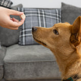 Salmon Pate - Skipper's Pet Products