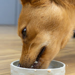 Salmon Pate - Skipper's Pet Products