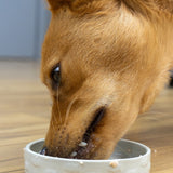 Salmon Pate - Skipper's Pet Products