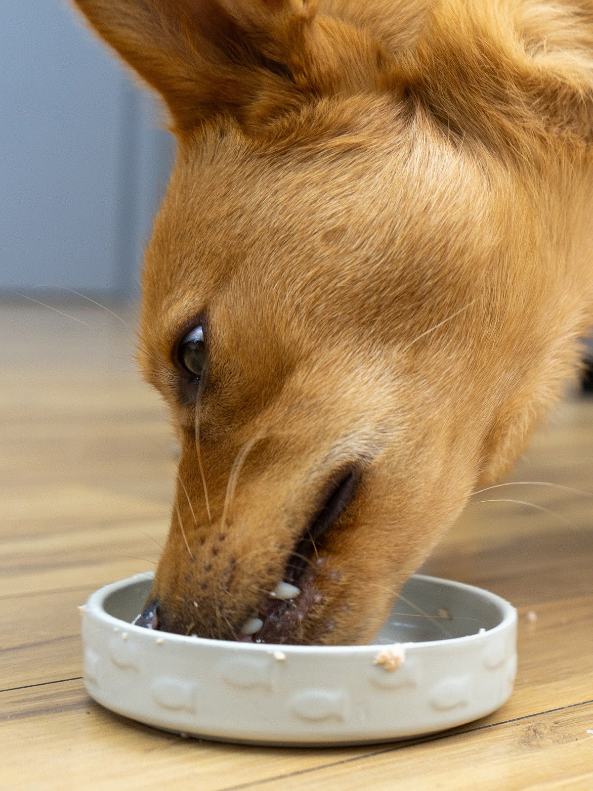 Salmon Pate - Skipper's Pet Products