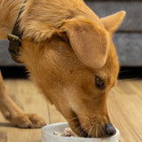 Salmon Pate - Skipper's Pet Products