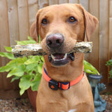 Fish Skin Strips - Skipper's Pet Products