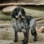 Fish Skin Throw Sticks - Skipper's Pet Products