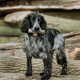 Fish Skin Throw Sticks - Skipper's Pet Products