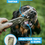 Fish Skin Throw Sticks - Skipper's Pet Products