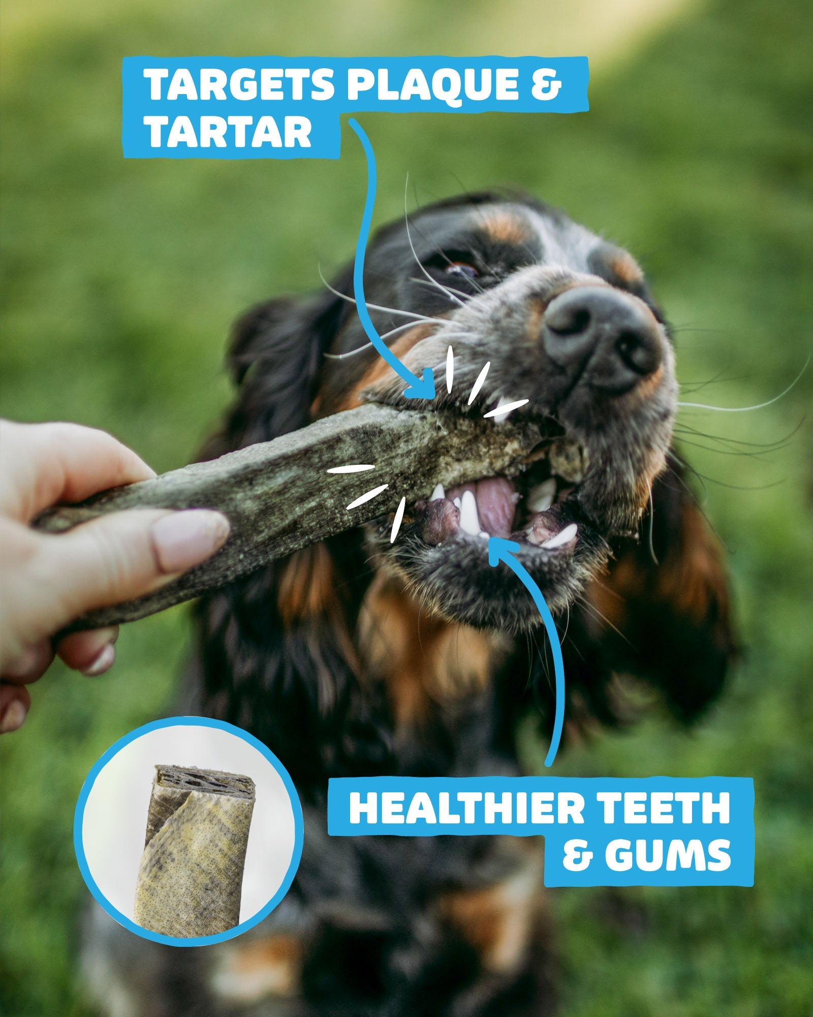 Fish Skin Throw Sticks - Skipper's Pet Products