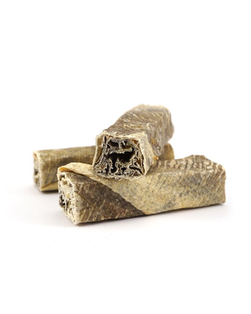 Fish Skin Throw Sticks - Skipper's Pet Products