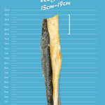 Salmon Skin Flatties - Skipper's Pet Products