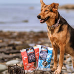 Salmon Skin Flatties - Skipper's Pet Products