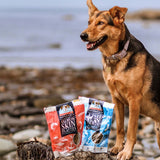 Salmon Skin Flatties - Skipper's Pet Products