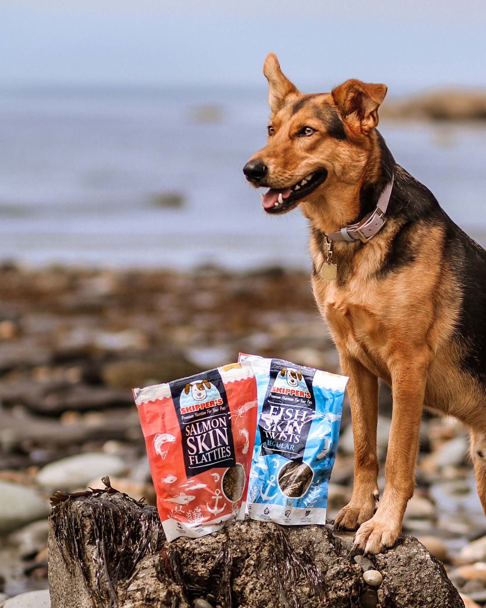 Salmon Skin Flatties - Skipper's Pet Products