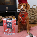 Salmon Skin Flatties - Skipper's Pet Products