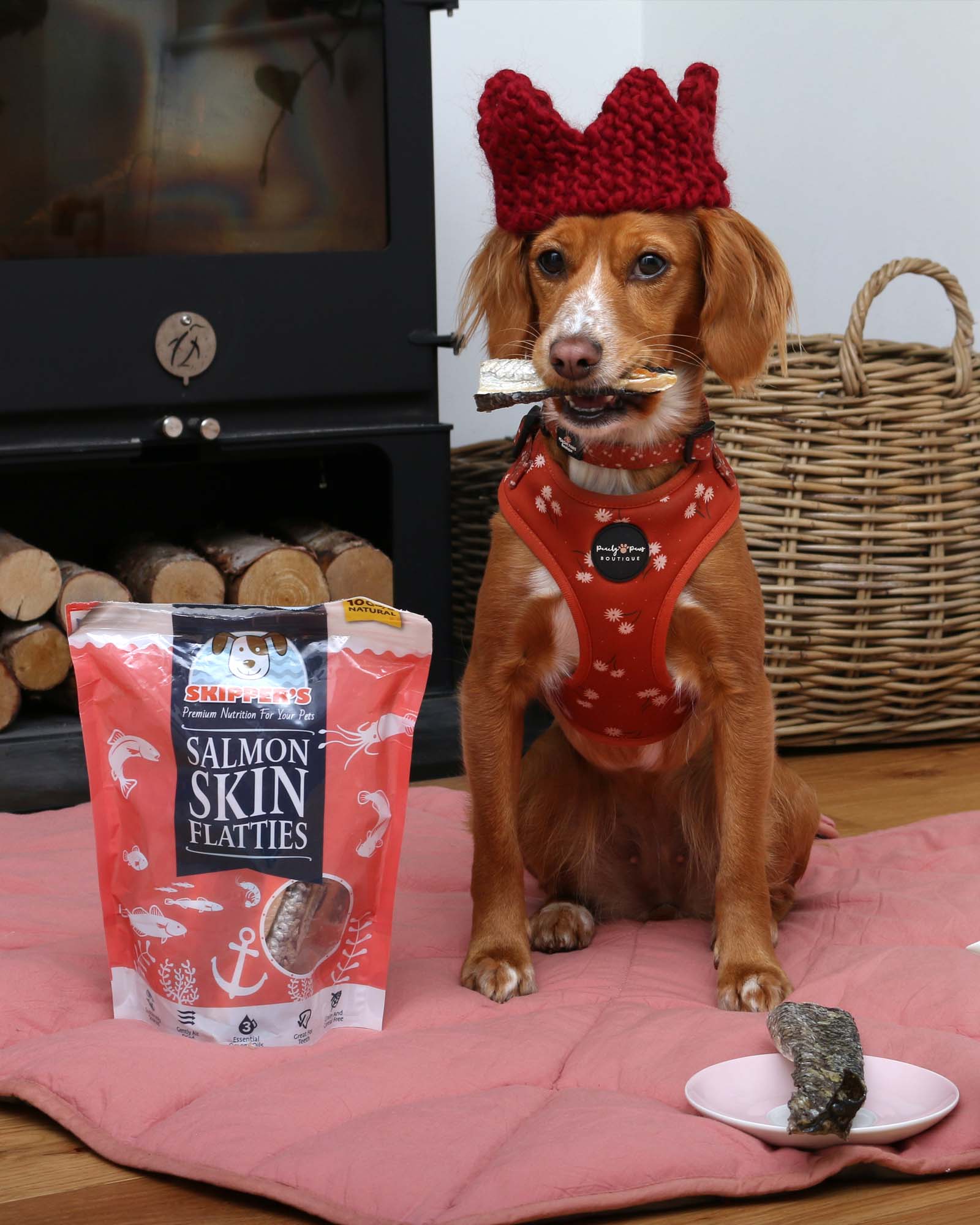 Salmon Skin Flatties - Skipper's Pet Products