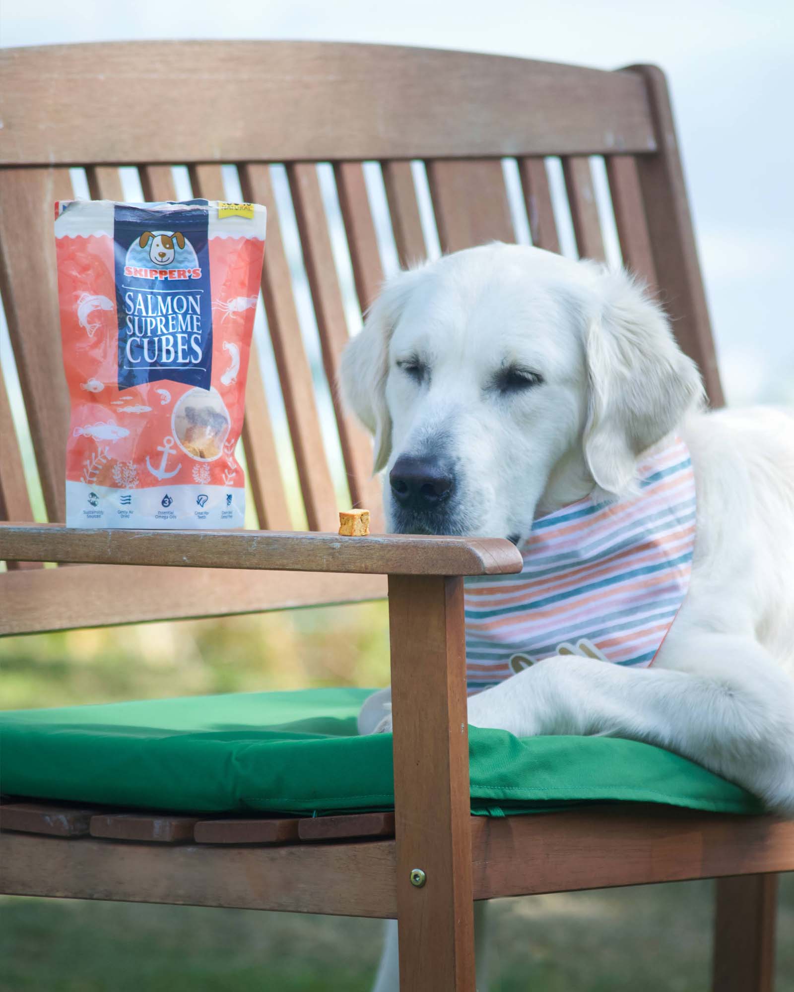 Salmon Supremes - Skipper's Pet Products