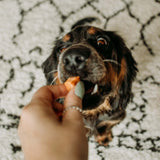 Salmon Supremes - Skipper's Pet Products