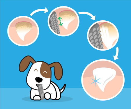 Skipper's Pet Products Fish Skin Dog Treats Teeth Cleaning Dental Care
