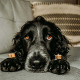 Whitefish & Herb Slices - Skipper's Pet Products