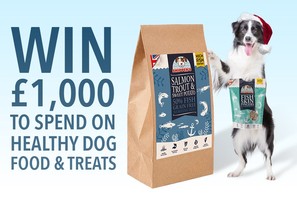 Win a £1000 voucher to use on Skipper's healthy dog food and treats!
