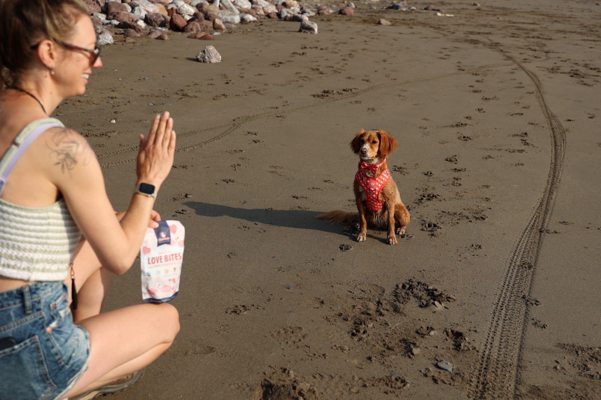How to Teach Your Dog to Stay with Louise and Ivy
