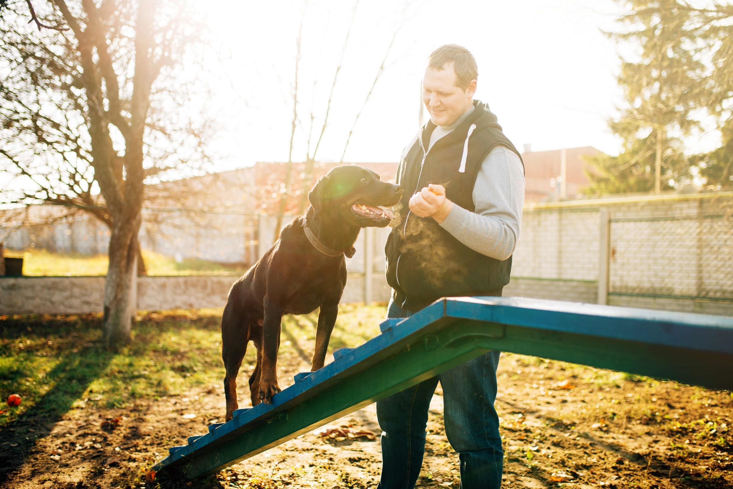 Dog and owner agility training outside
