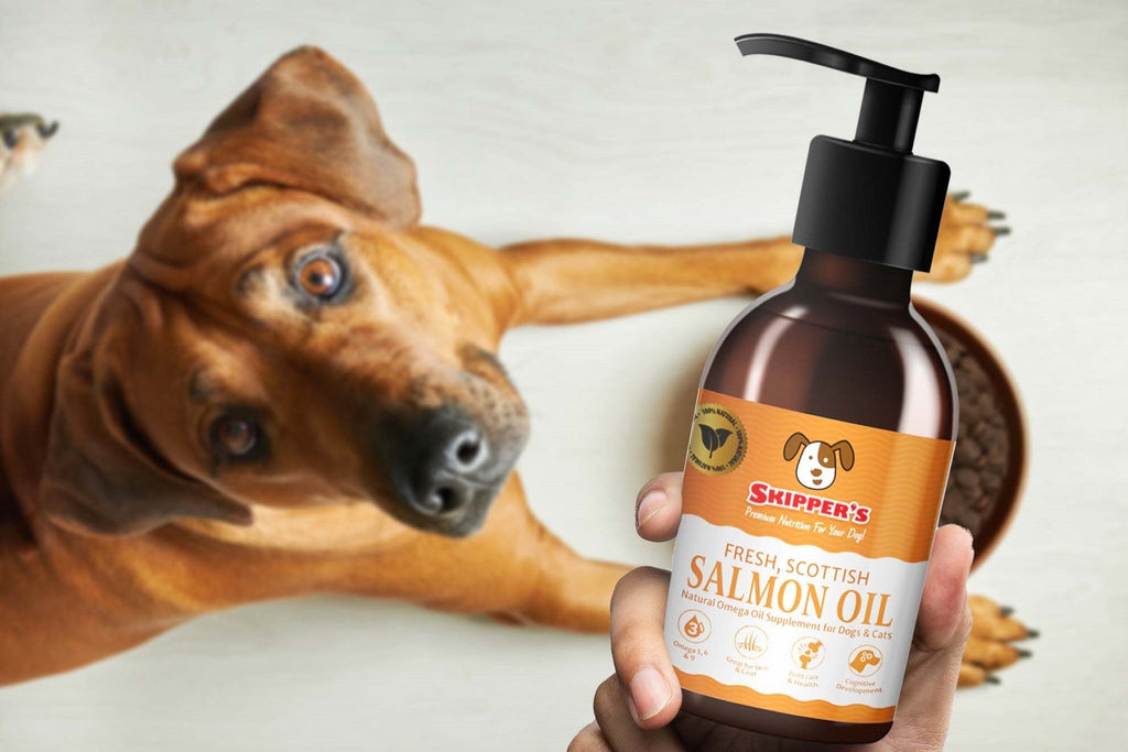 How Much Salmon Oil Can I Feed My Dog?