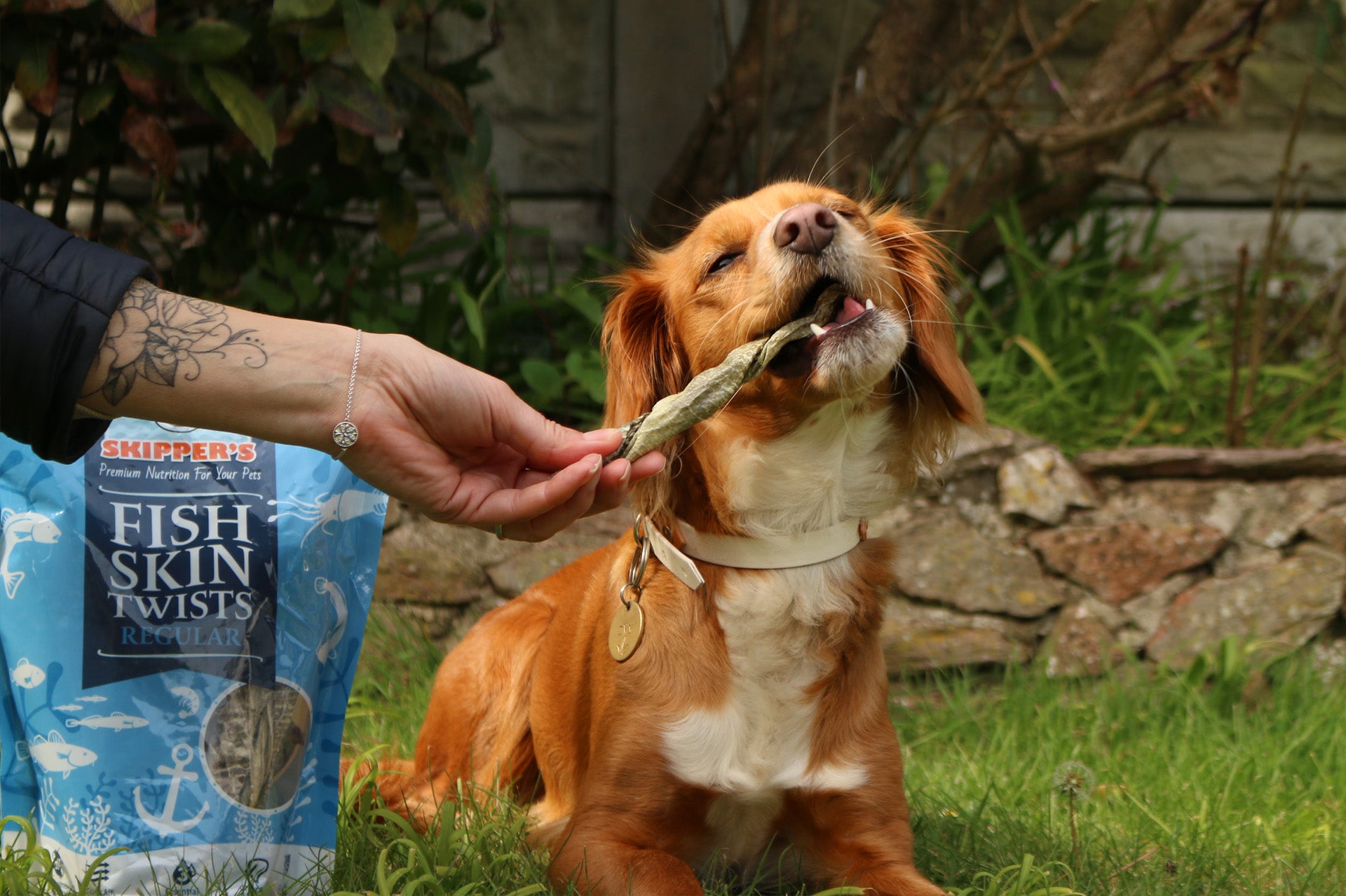 How Much Can I Feed of Each Treat?