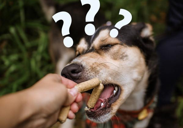 How Many Calories Are in Each Treat?