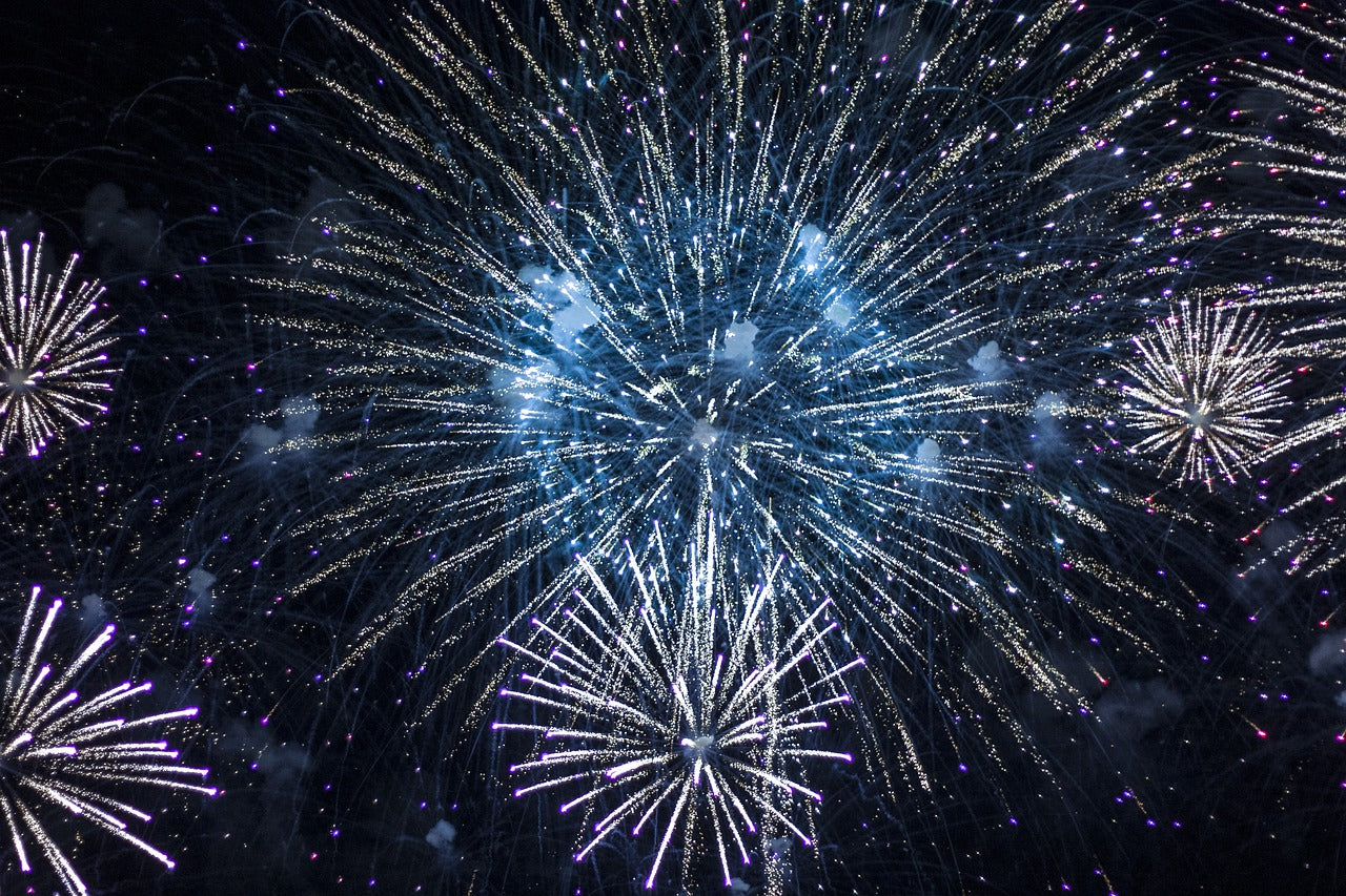Dogs and Fireworks | A Complete Guide to Help Your Dog Cope During Fireworks