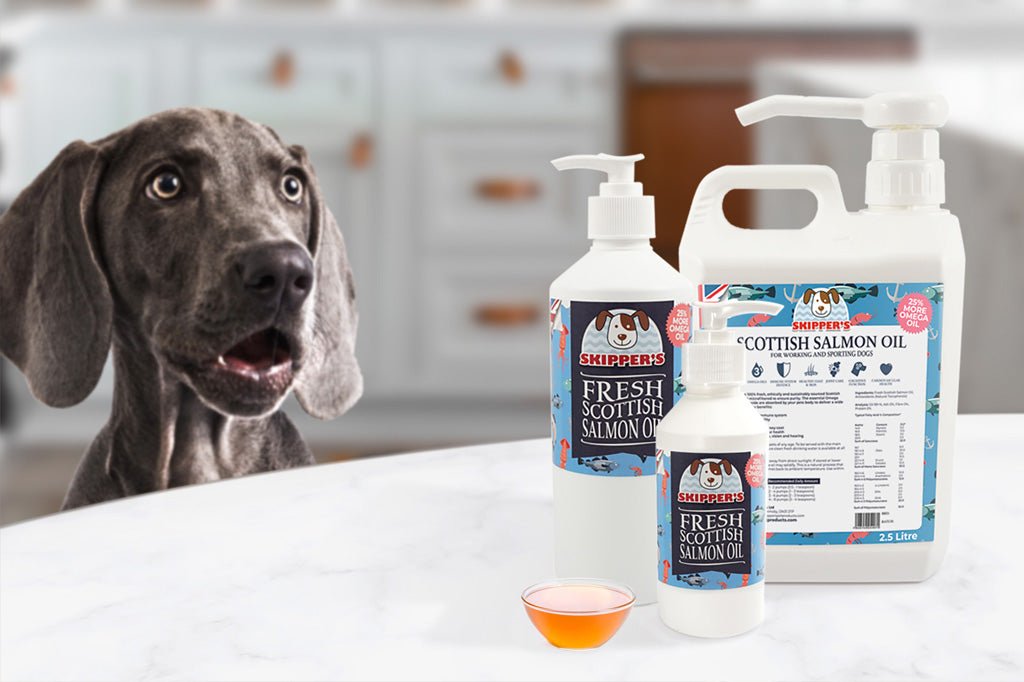 Is Salmon Oil Good For Dogs? Benefits of Salmon Oil - Skipper's Pet Products