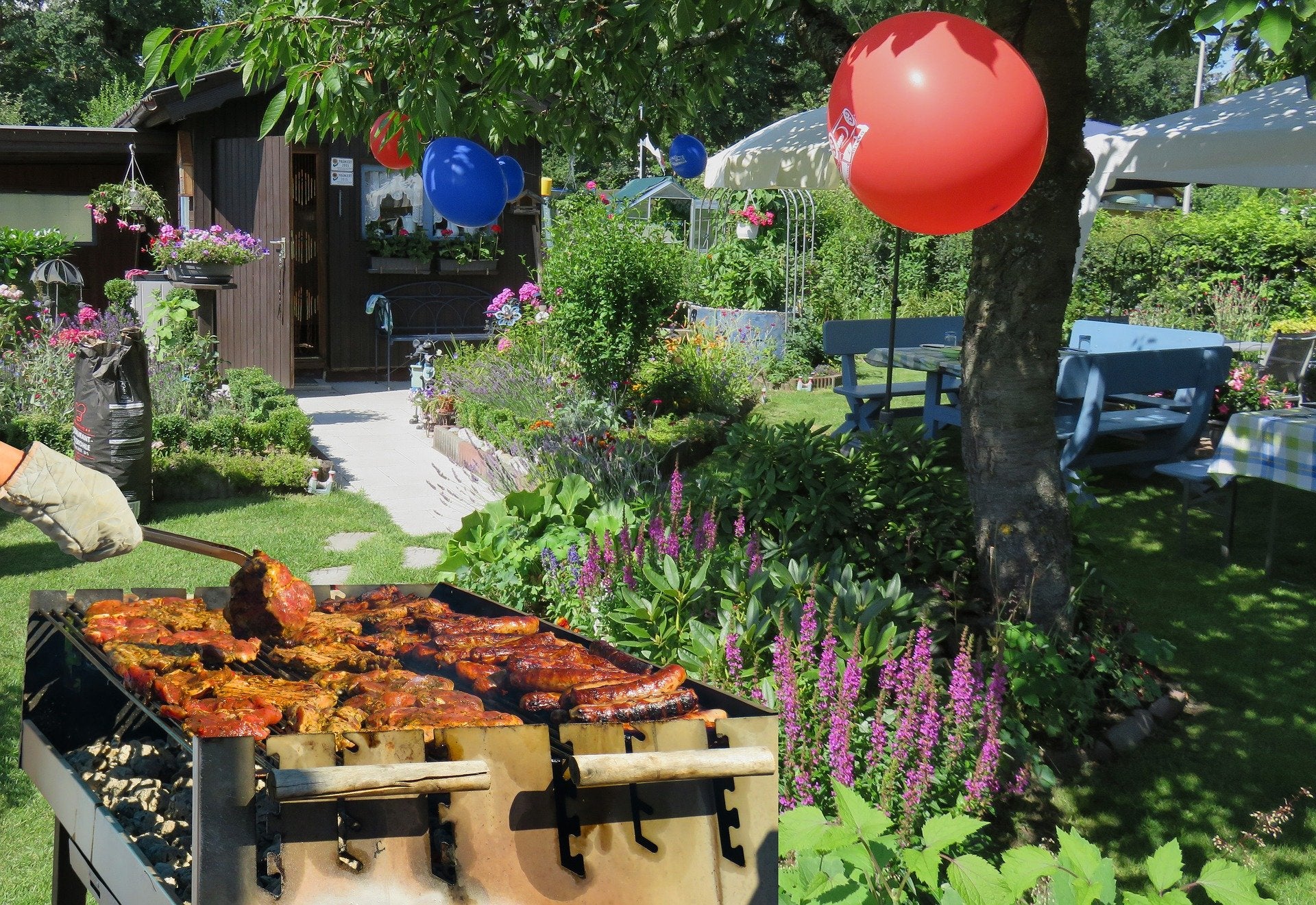 Dog Friendly BBQ