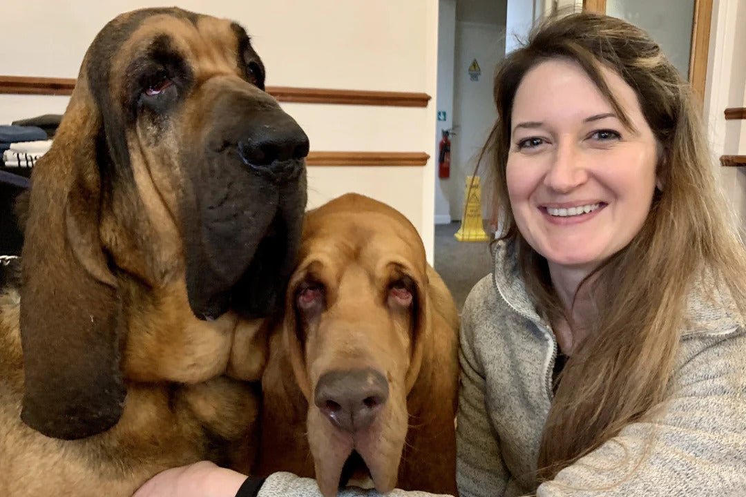 Q&A With Dog Trainer and Behaviourist | Adelaide Stewart-Jones - Skipper's Pet Products