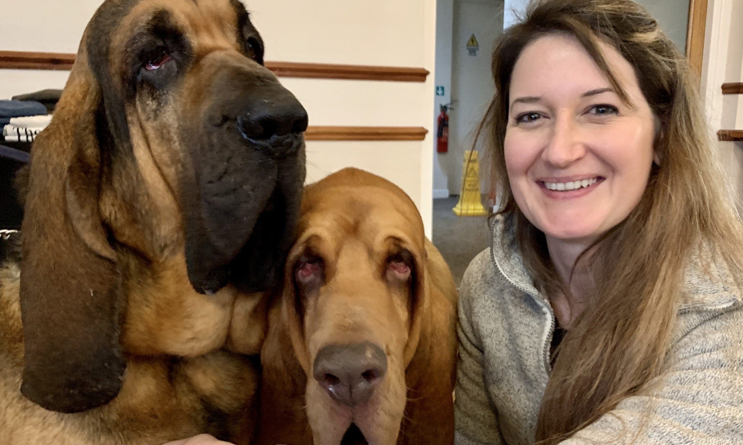 Q&A With Dog Trainer and Behaviourist | Adelaide Stewart-Jones - Skipper's Pet Products