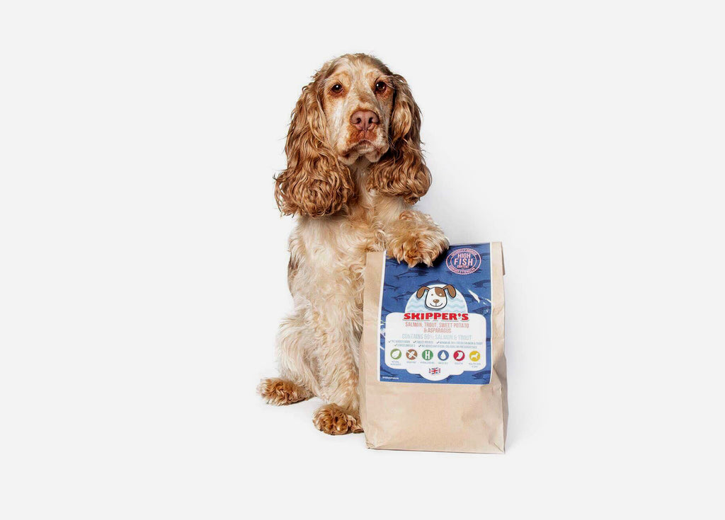 Does Your Dog Eat Grain Free?  A look at Skipper’s Grain Free Complete Food!