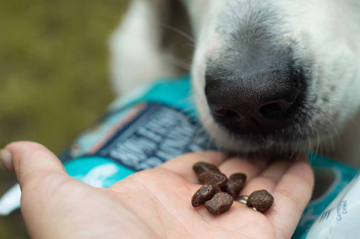 Skipper’s Best Treats As Voted By You!