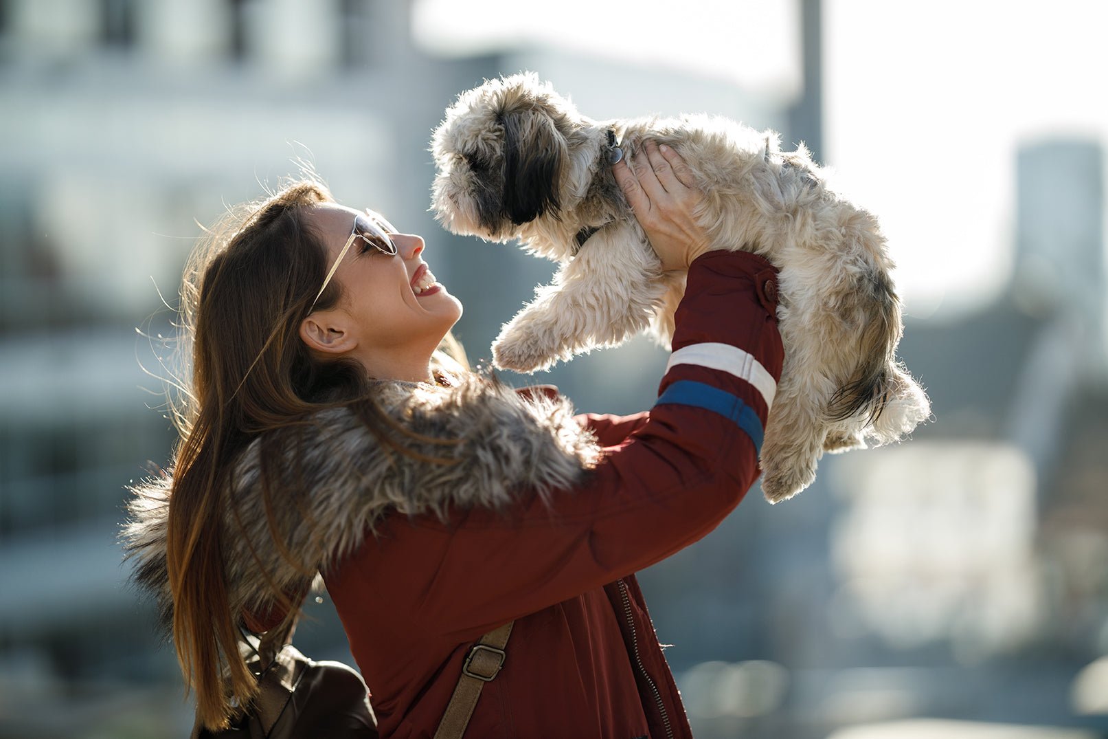 When Can Puppies Go Outside? - Skipper's Pet Products