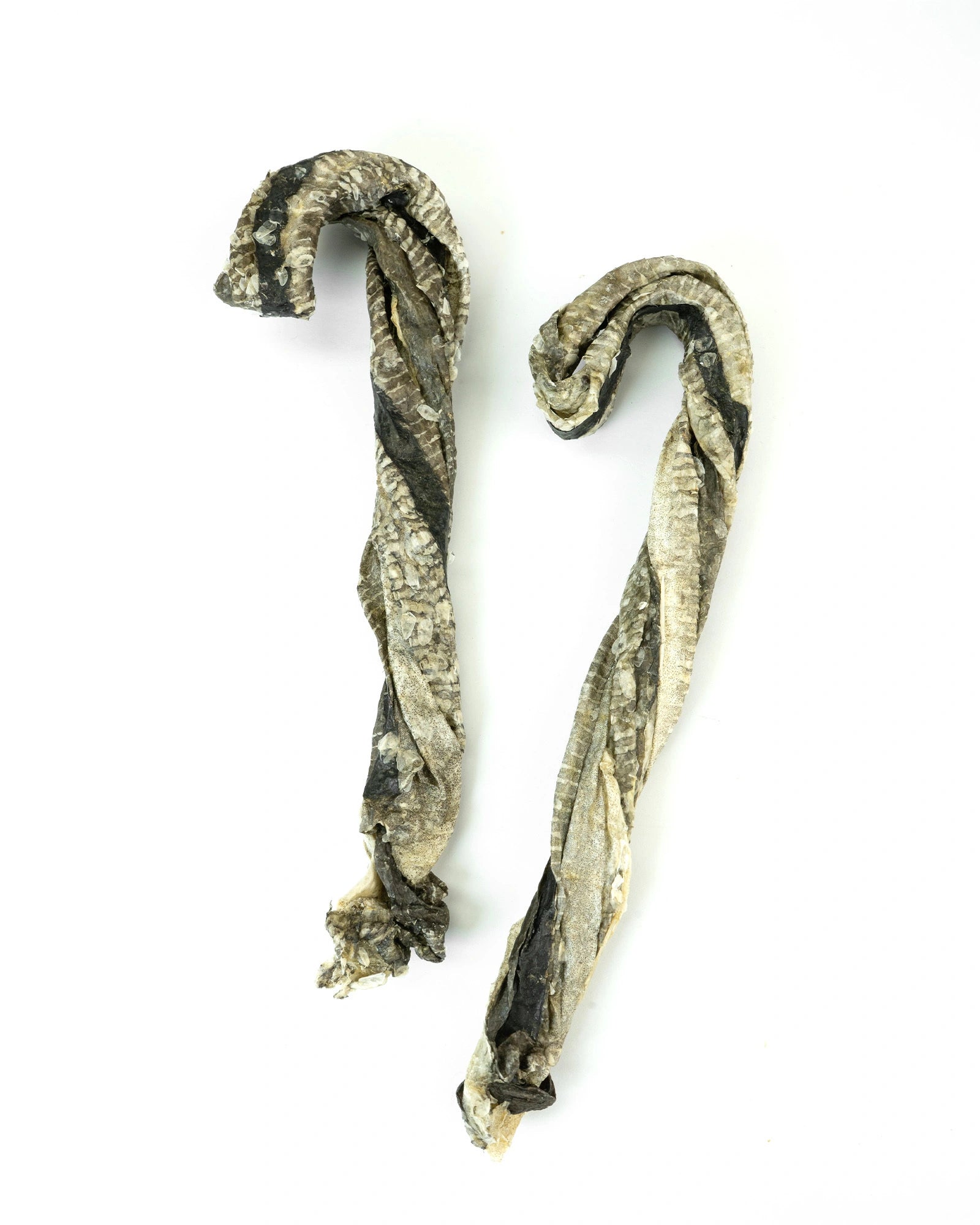 Two Skipper's Fish Skin Candy Canes displayed on a clean white background