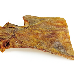 Sole Fish