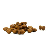 Immune Boost - Functional Training Treats